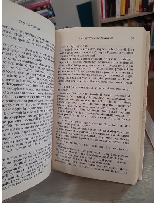 Le labyrinthe de Pharaon – Serge Brussolo