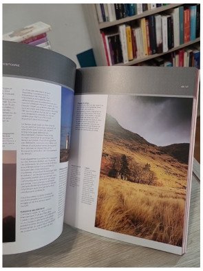 L'art du Reflex numérique - Composition et prise de vue