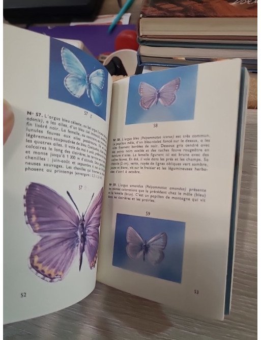 Papillons espèces européennes – 250 photographies en couleurs - Yves Latouche