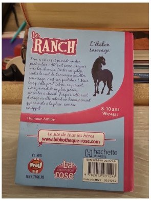 Le Ranch 01 - L'étalon sauvage – Christelle Chatel