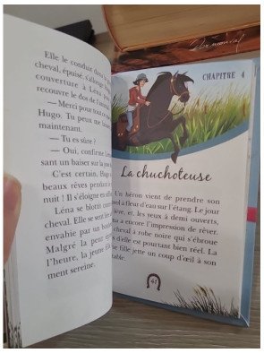 Le Ranch 01 - L'étalon sauvage – Christelle Chatel