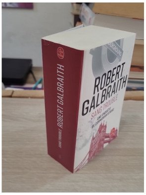 Sang trouble – Robert Galbraith