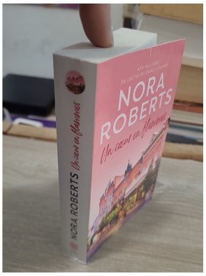 Un coeur en flammes – Nora Roberts