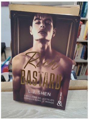 Rich Bastard – L.J. Shen