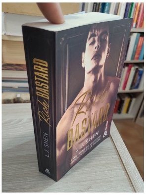 Rich Bastard – L.J. Shen