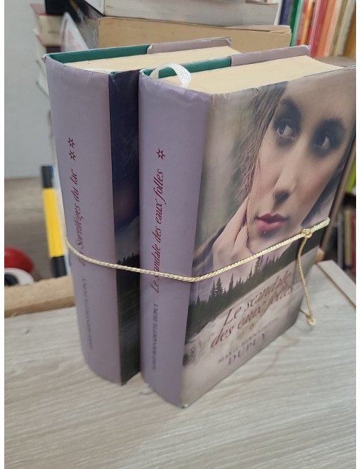 Le Scandale des eaux folles – Tome 1 (VENDU EN LOT AVEC LE TOME 2)