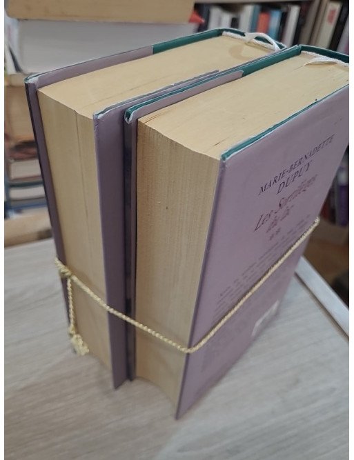 Le Scandale des eaux folles – Tome 1 (VENDU EN LOT AVEC LE TOME 2)