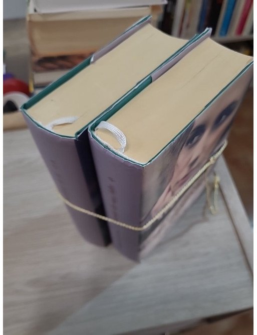 Le Scandale des eaux folles – Tome 1 (VENDU EN LOT AVEC LE TOME 2)