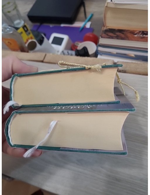 Le Scandale des eaux folles – Tome 1 (VENDU EN LOT AVEC LE TOME 2)