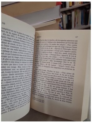 Flaubert – Henri Troyat