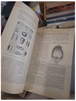 Qui sommes-nous ? de l'abbé Th. Moreux