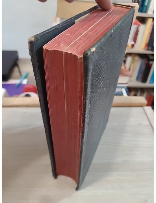 La Sainte Bible synodale – Société biblique de France