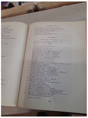 La Sainte Bible synodale – Société biblique de France