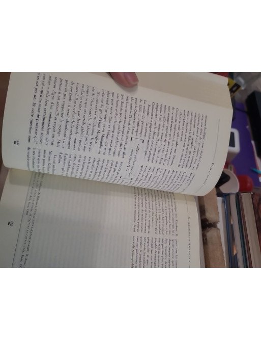 Le Livre des Merveilles