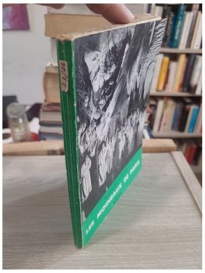 Les moineaux de Paris — Maurice Cloche