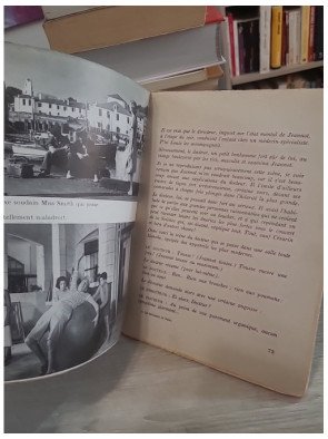 Les moineaux de Paris — Maurice Cloche