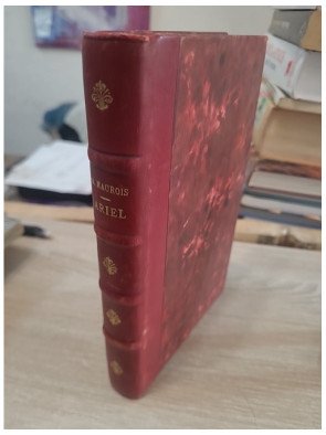 Ariel ou la vie de Shelley — André Maurois