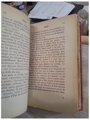 Ariel ou la vie de Shelley — André Maurois