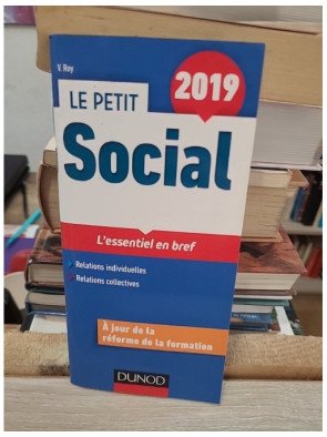 Le Petit Social 2019 – L'essentiel en bref