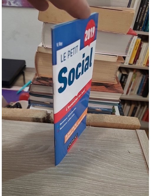 Le Petit Social 2019 – L'essentiel en bref