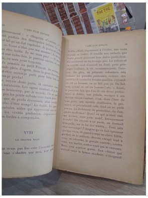 L’Âme d’un enfant — Jean Aicard