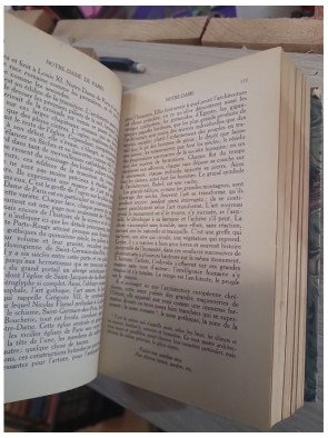 Notre-Dame de Paris, 1482