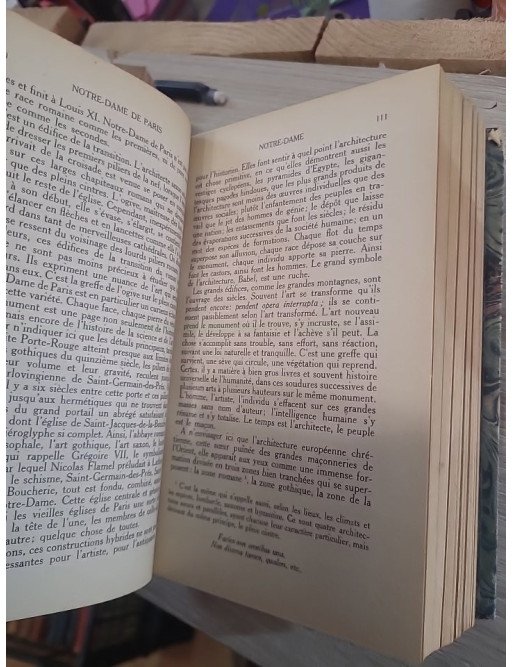 Notre-Dame de Paris, 1482