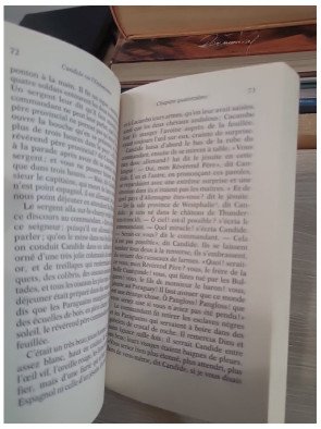 Candide Ou L'optimisme - Voltaire