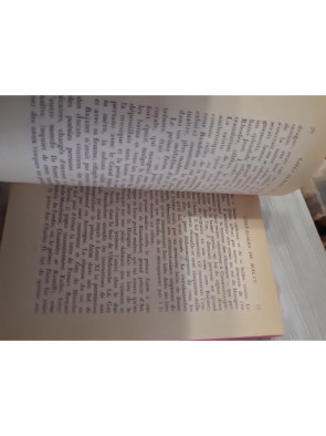 Chevaliers de Malte, par Roger Peyrefitte