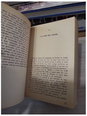 Les sociétés secrètes