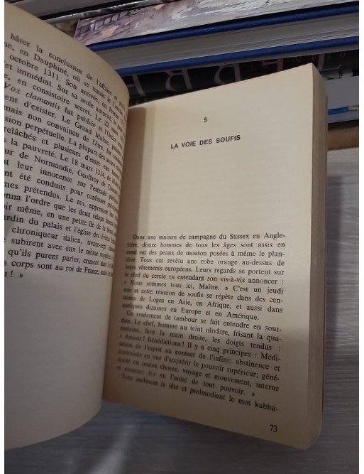 Les sociétés secrètes