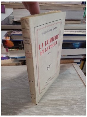 La lumière et le fouet de François-Régis Bastide