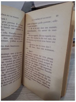 La lumière et le fouet de François-Régis Bastide