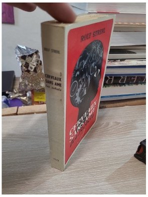 Cerveaux sans ame les Robots de Rolf Strehl