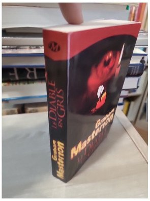 Le Diable en gris – Graham Masterton