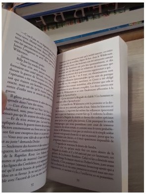 Le Diable en gris – Graham Masterton