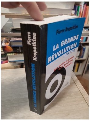 La Grande Révolution (1789-1793) Une lecture originale de la Révolution française - Pierre Kropotkine