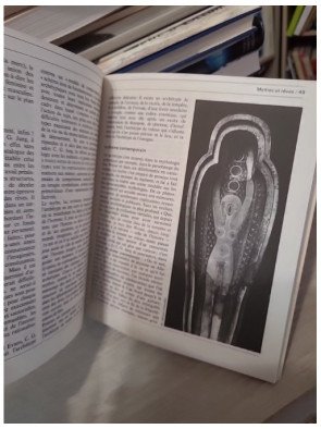 Planète Plus n°18 – L'homme et son message : C.G. Jung