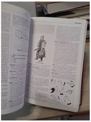 Encyclopédie technique, historique, biographique et culturelle des arts martiaux de l'Extrême-Orient