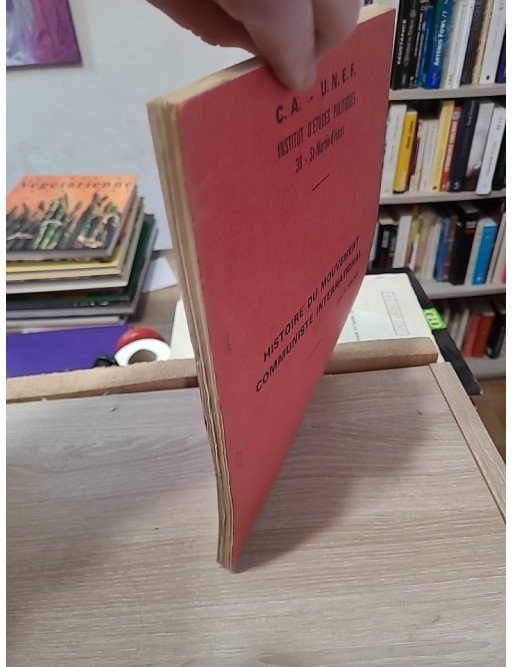 Histoire du mouvement communiste international - Pierre Broué