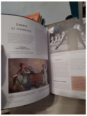 Franc-maçons, une société secrète - Marco Carini