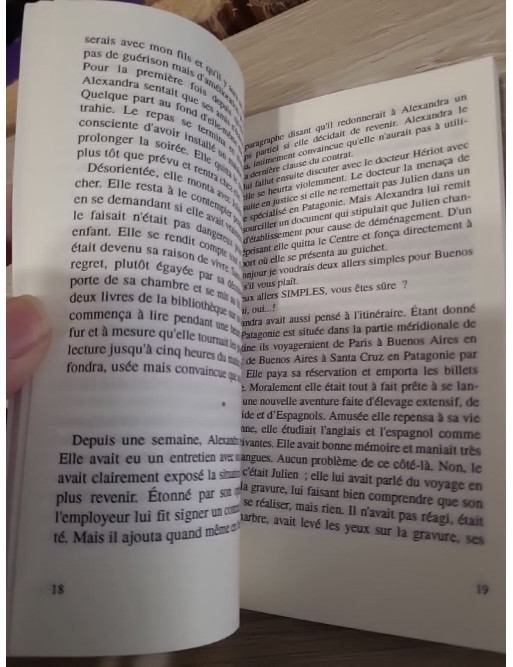 Un jour, je m'en irai en Patagonie – Collectif