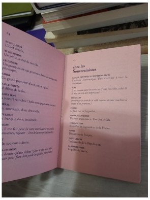 Le Dico de la présidentielle – Laurent Greilsamer