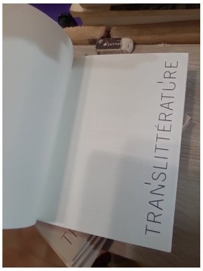 TransLittérature (lot de 8 magazines numéros 34 à 41) - Collectif