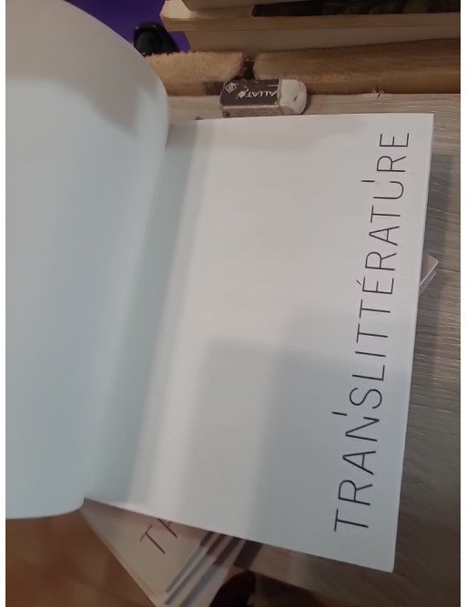 TransLittérature (lot de 8 magazines numéros 34 à 41) - Collectif