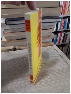 Que sais-je ? 1464. La Gauche en France — Pascal Perrineau