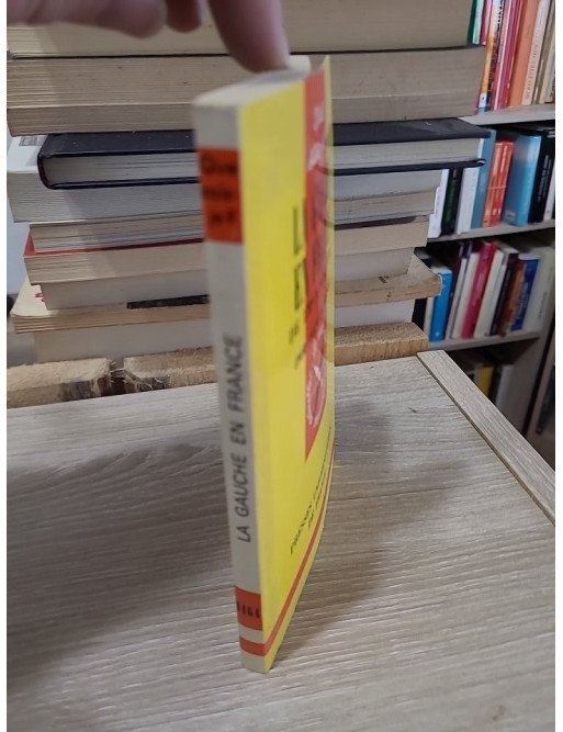 Que sais-je ? 1464. La Gauche en France — Pascal Perrineau