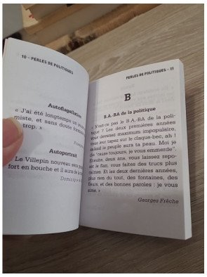 Perles de politiques : Perles & lapsus de la Ve République — Stéphane Garnier