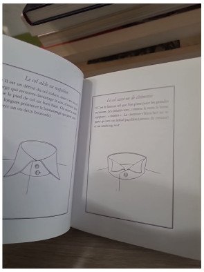 Le petit précis de l'élégance — Olivier Cechman