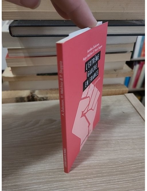 L'extrême gauche en France - De l'entre-deux-guerres à nos jours — Dubuisson, Melchior, Stuppia
